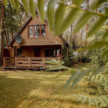 Domek Ptasie Radio Острода Екстериор снимка